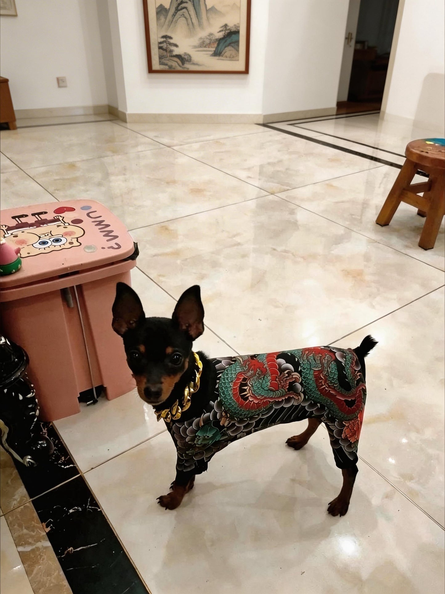 Funny Pet Tattoo Shirt for Cats & Dogs – Personalized Humor Four-Leg T-Shirt, Soft & Comfortable Pet Outfit